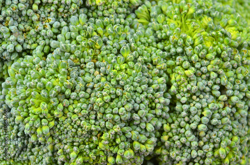 Broccoli, close-up