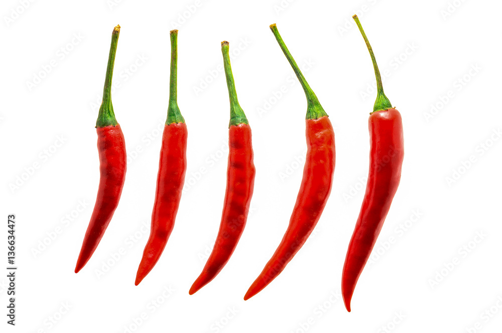 chilli red peppers on white background