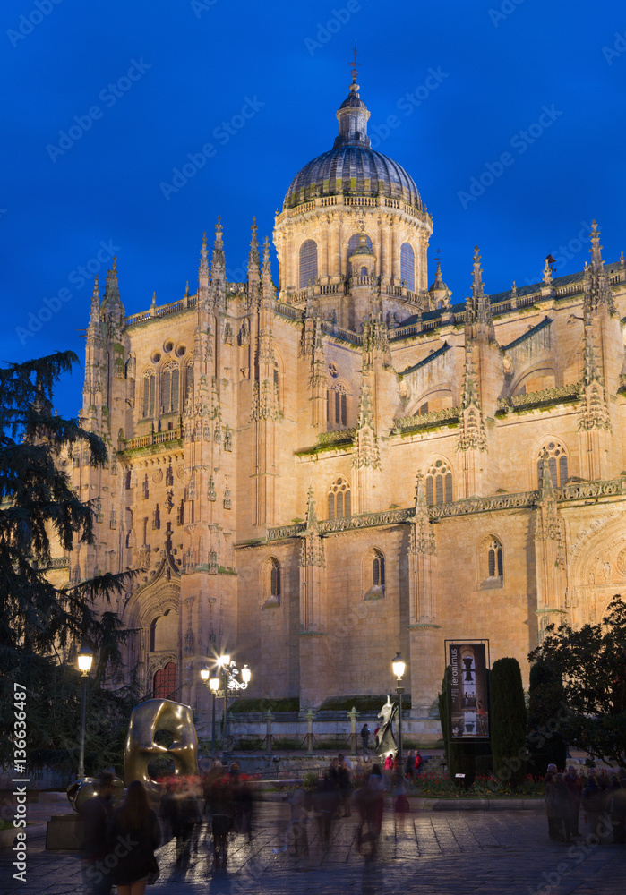 Salamanca - The north gothic portal of Catedral Nueva - New Cathedral at dusk.