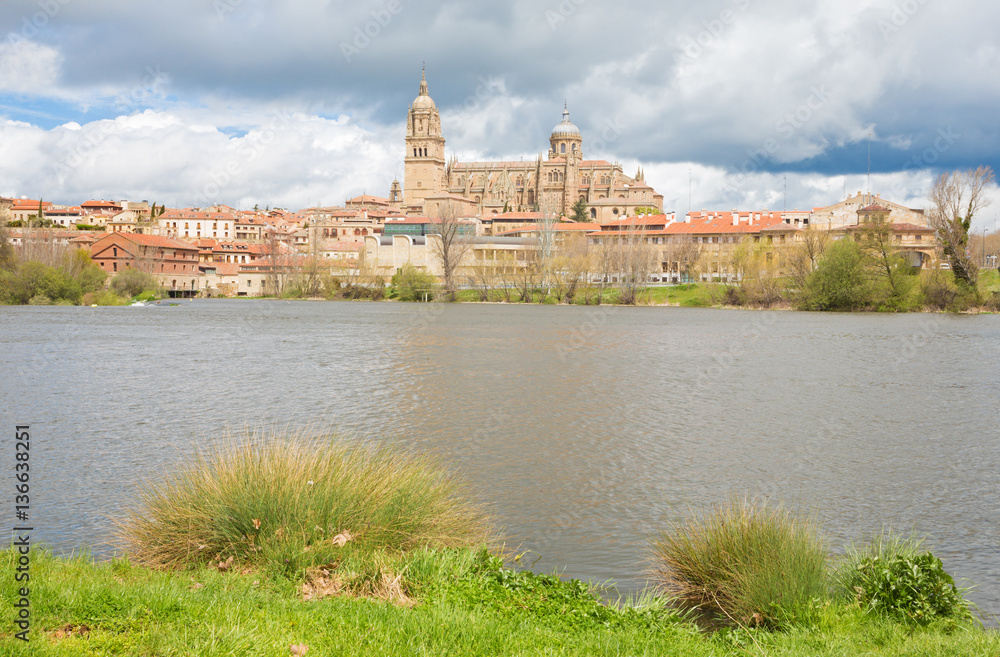 Salamanca - The Town, Cathedral and the Rio Tormes river.