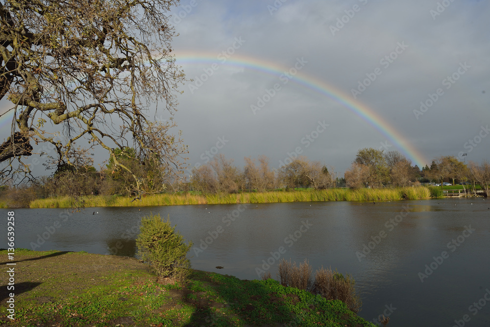 Rainbow over lake with trees in background Rainbow over lake with trees in background