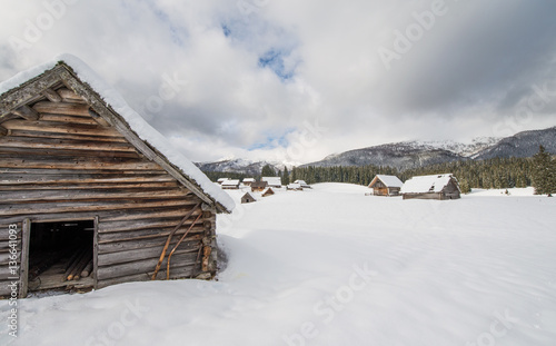 Alpine meadow during winter time in Slovenia