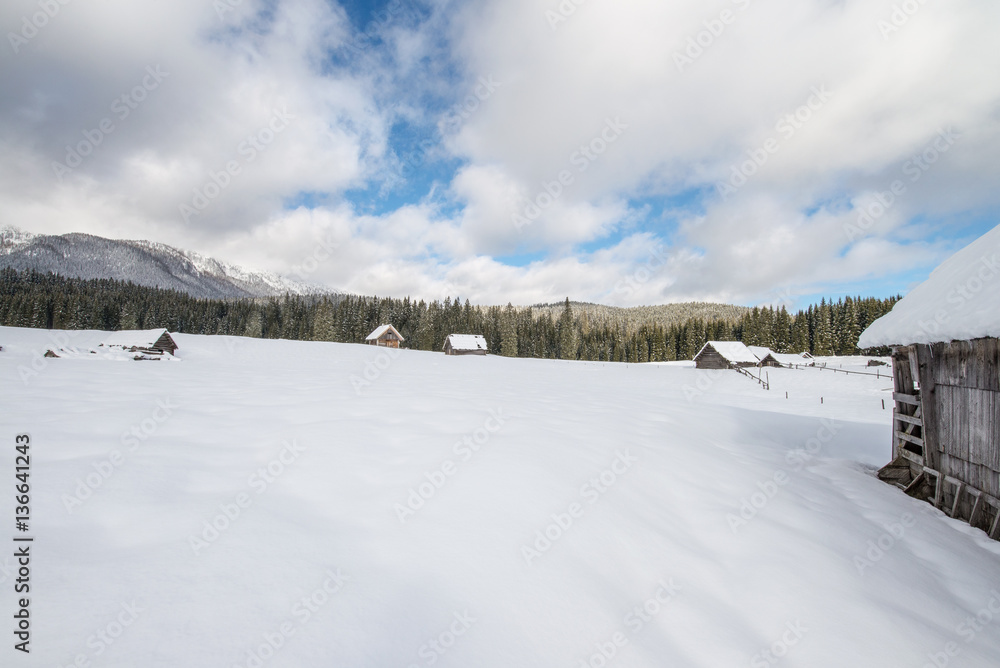 Alpine meadow during winter time in Slovenia