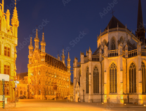 Leuven - Gothic town hall and st. Peters cathedral in evening dusk