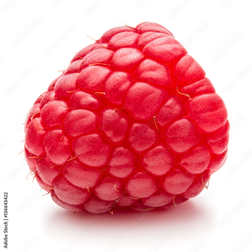 ripe raspberry isolated on white background close up ripe raspberry isolated on white background close up