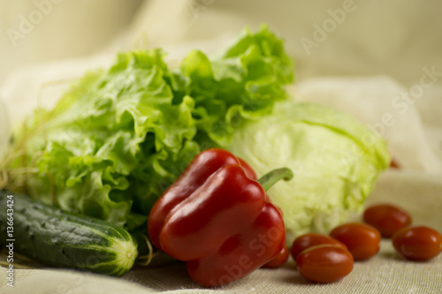 Tomato, bell pepper, cucumber ,lettuce