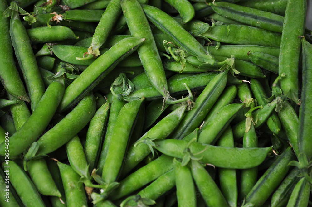 Ripe pods of green peas in bulk