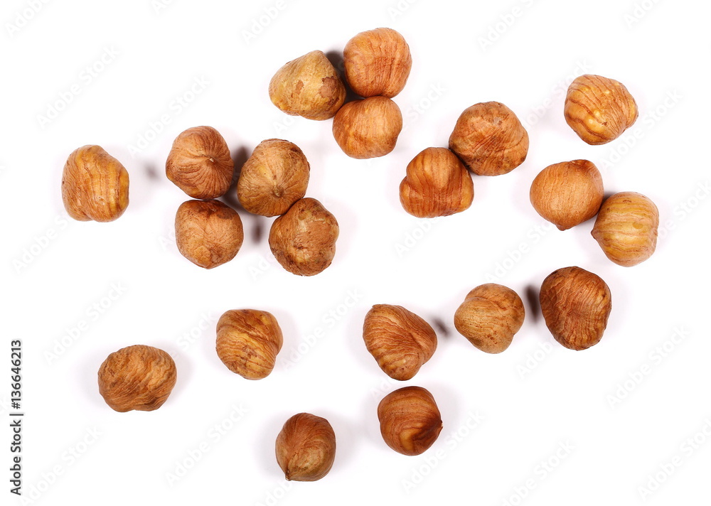 hazelnuts isolated on white background hazelnuts isolated on white background