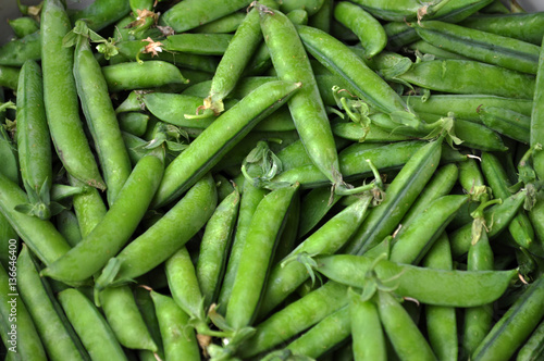 Ripe pods of green peas in bulk