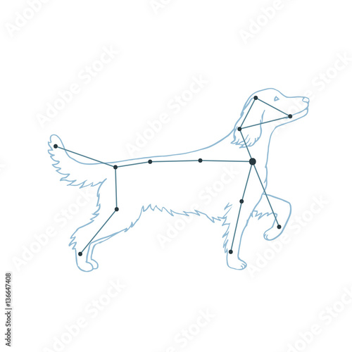 Vector illustration of Canis Major. Dog constellation hand-drawn background. Astrology picture on white isolated background.