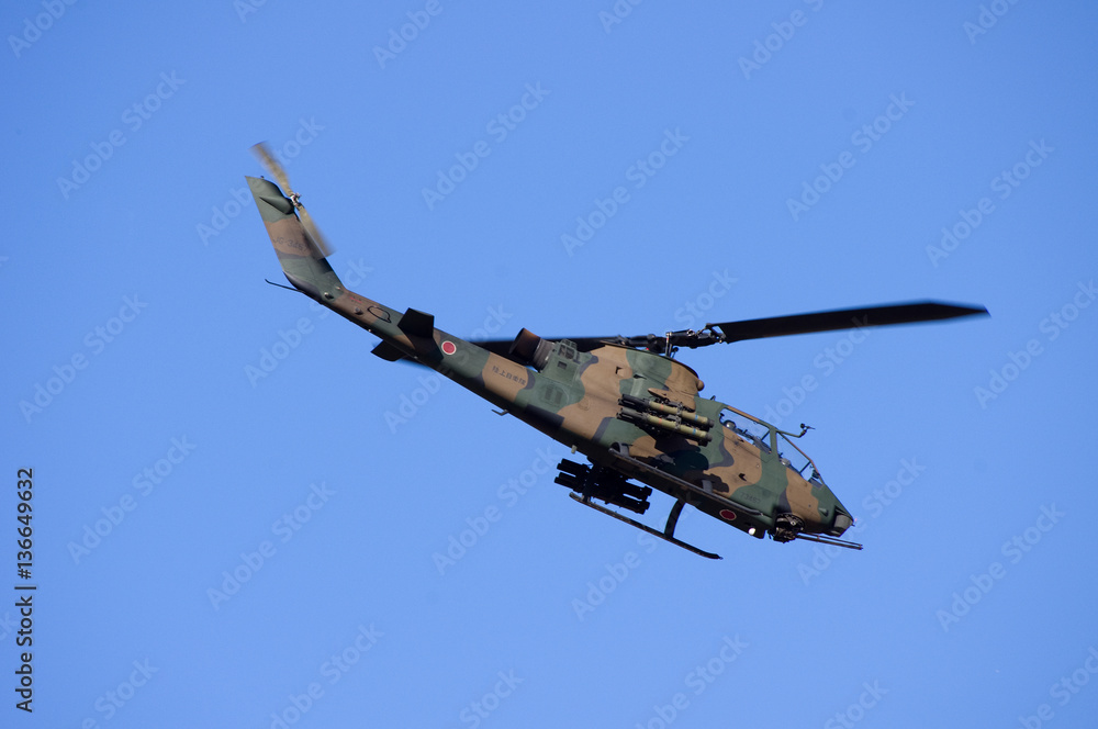 Fototapeta premium AH-1