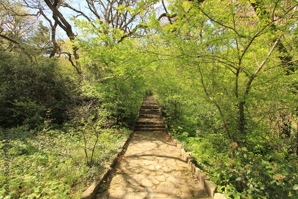 Obraz premium Vorontsovsky Park