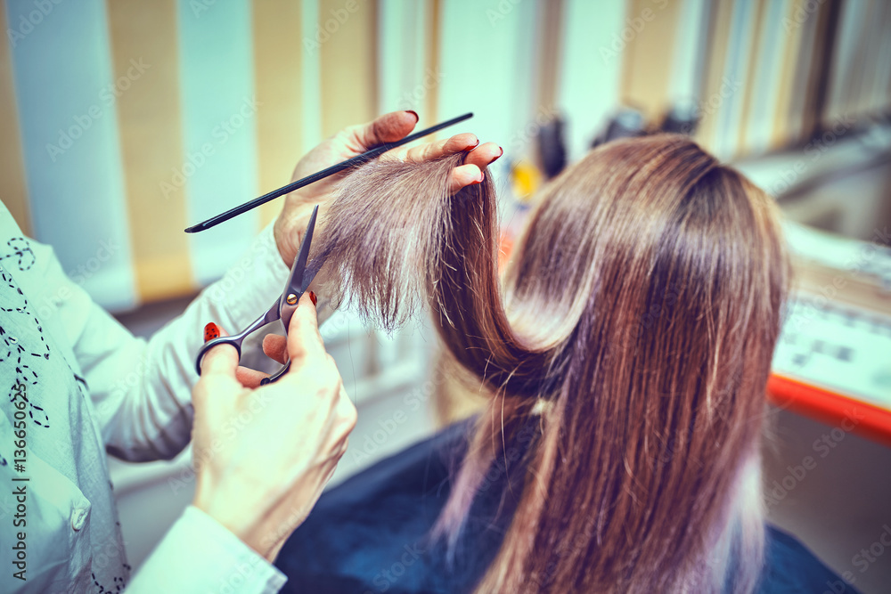 Fototapeta premium Picture showing hairdresser holding scissors and comb