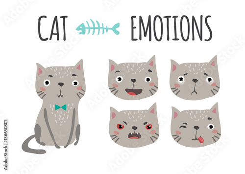Cute cat. Set of emotions