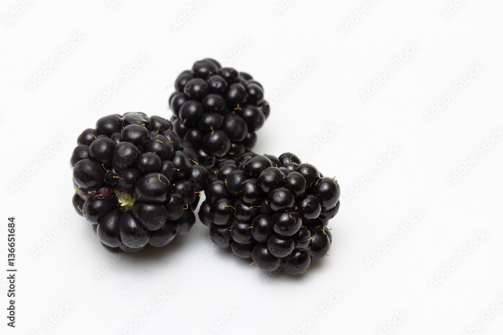 Moras Moras