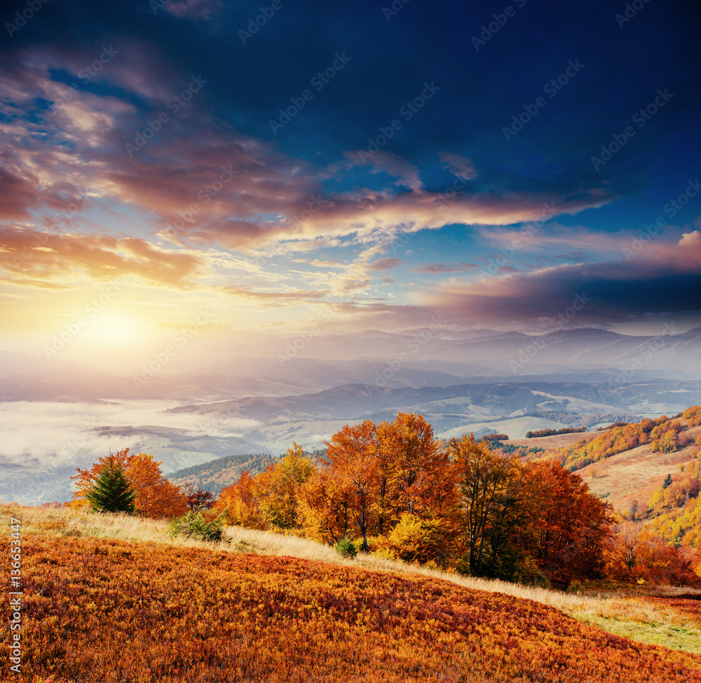 Fototapeta premium rock massif in the Carpathians.