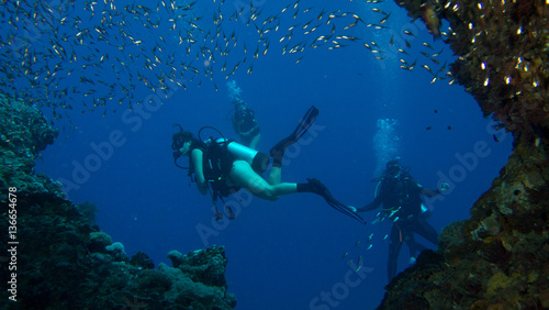 Scuba divers swimming through underwater chasm surrounded by small fish