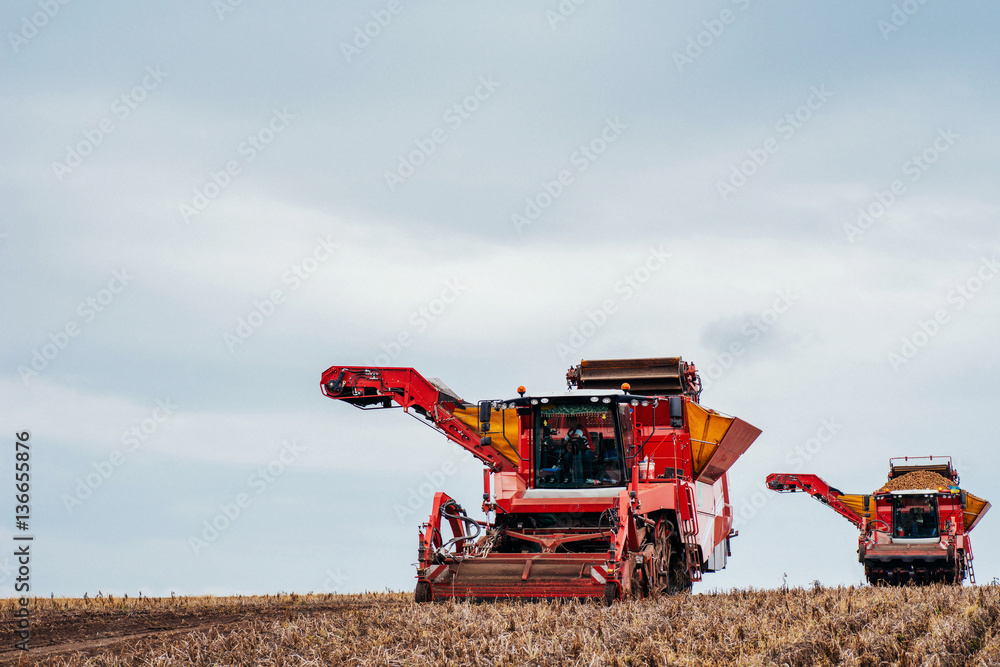 Obraz premium tractors working in the field
