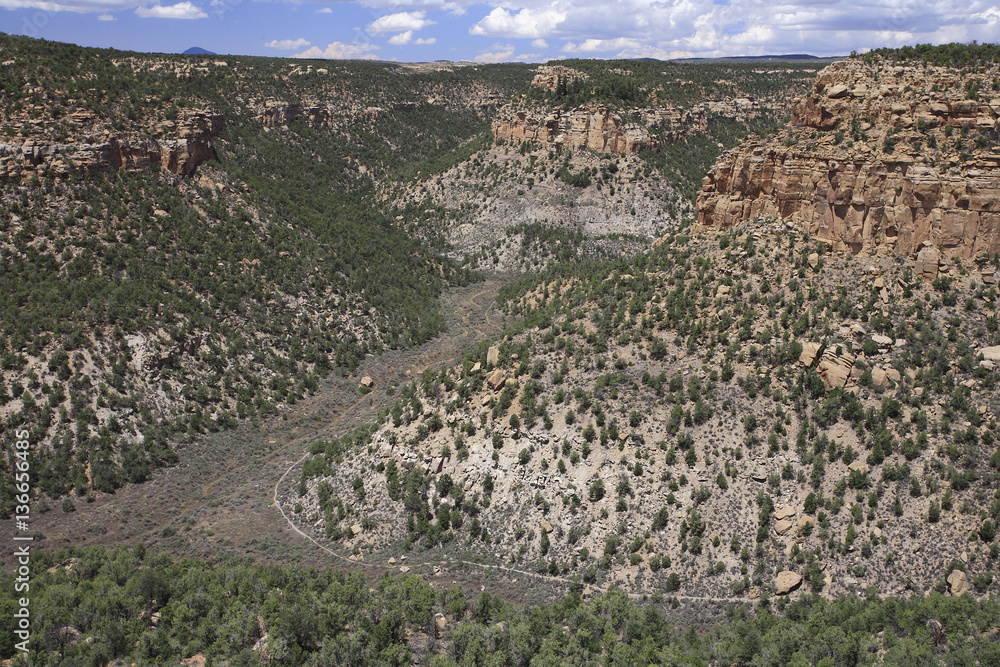 Parc national de Mesa Verde / Colorado