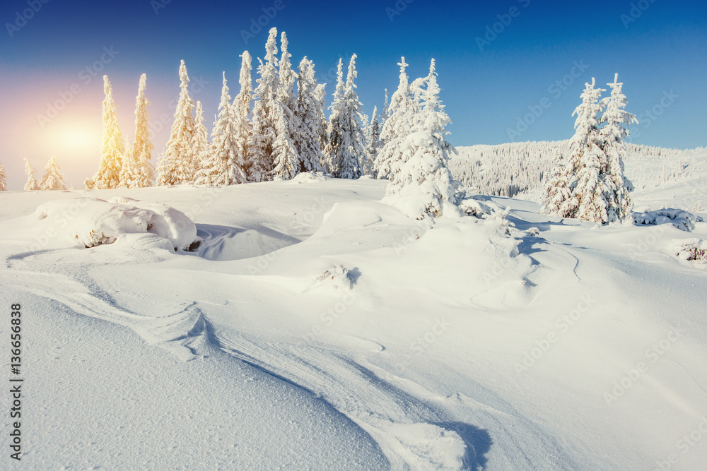 Fantastic winter landscape in the mountains of Ukraine