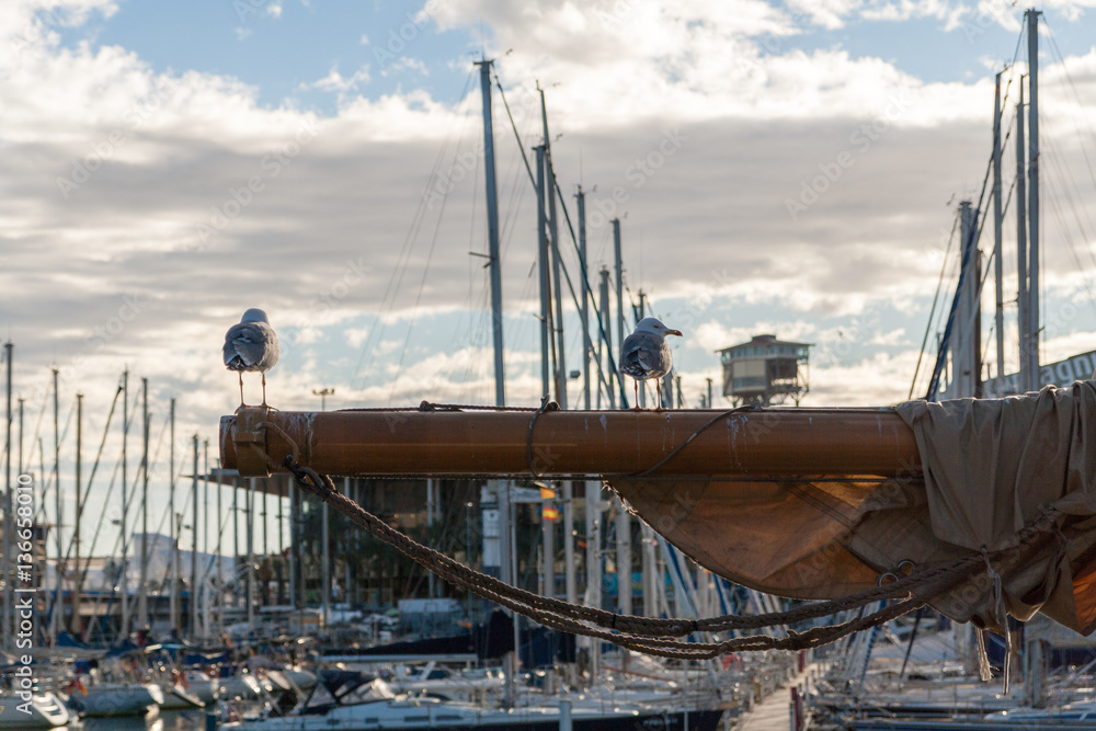 Obraz premium Seagulls sitting on the mast of a sailboat in the port.