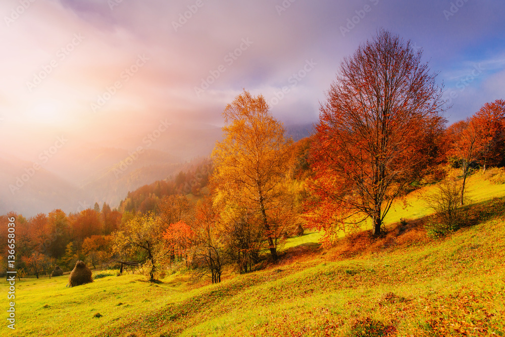 rock massif in the Carpathians.