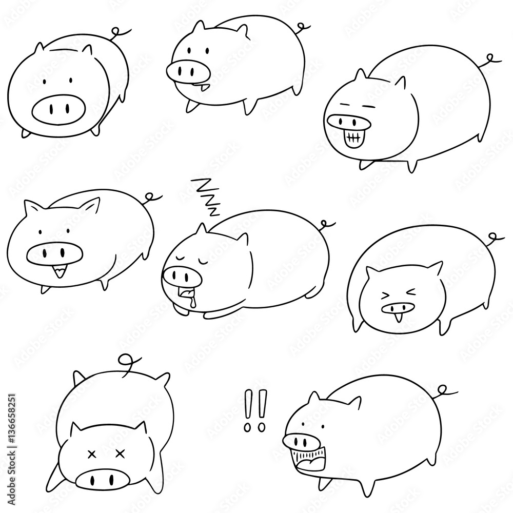 Fototapeta premium vector set of pig
