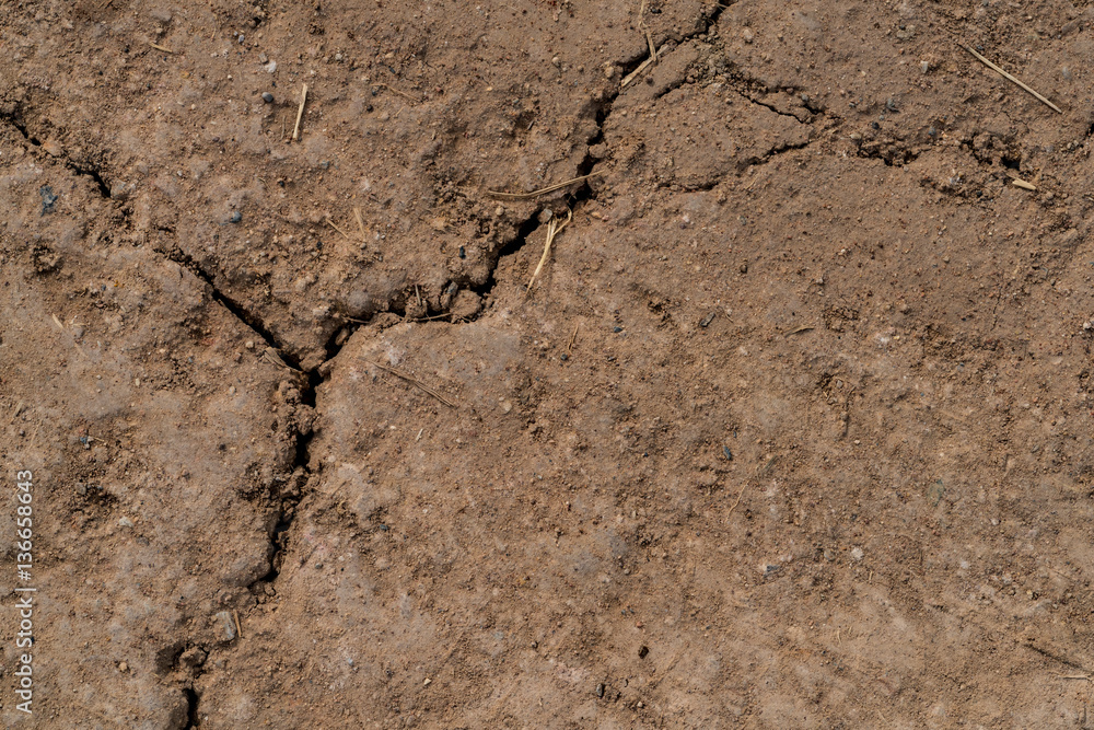 Fototapeta premium Crack dry soil