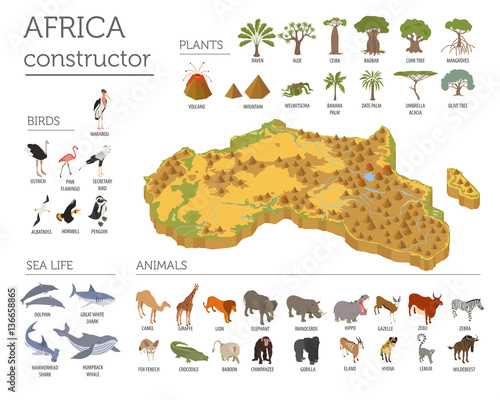 Flat 3d isometric Africa flora and fauna map constructor element