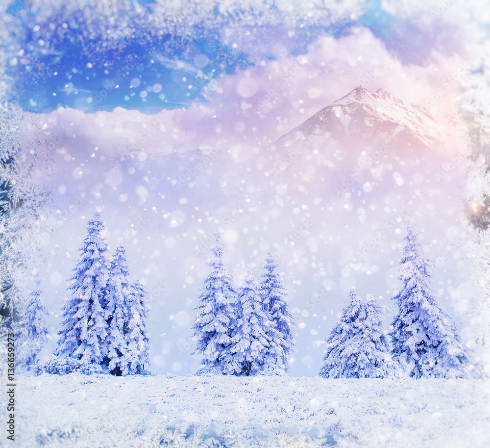 Fototapeta premium magical winter landscape, background with some soft highlights a