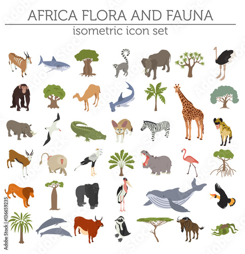 Flat 3d isometric Africa flora and fauna map constructor element © a7880ss