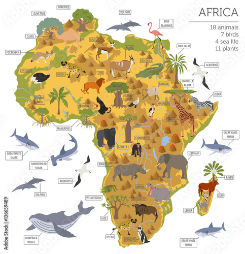 Flat Africa flora and fauna map constructor elements. Animals, b