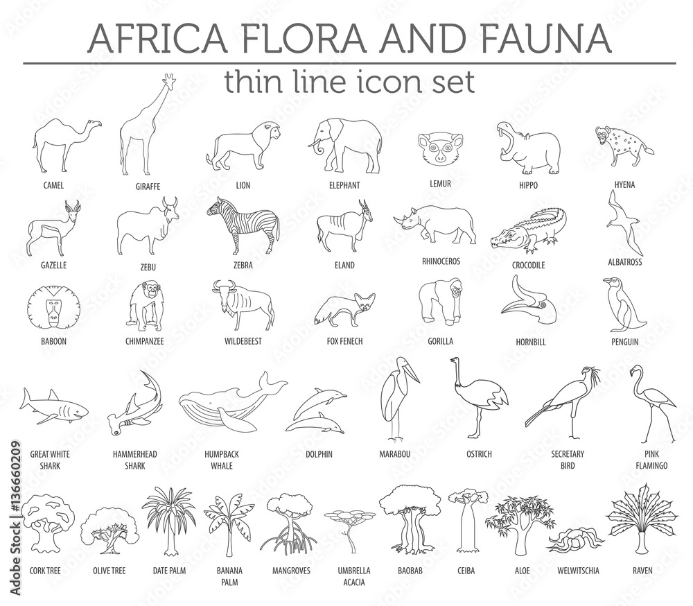 Fototapeta premium Thin line Africa flora and fauna elements. Animals, birds and se