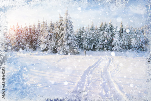 Wallpaper Mural winter road. Beautiful color high-res illustration with a holida Torontodigital.ca