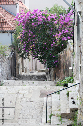 A narrow street with a staircase in Old Town, Dubrovnik