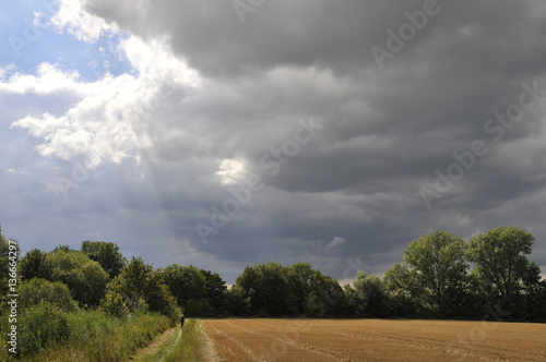 stoppelfeld photo