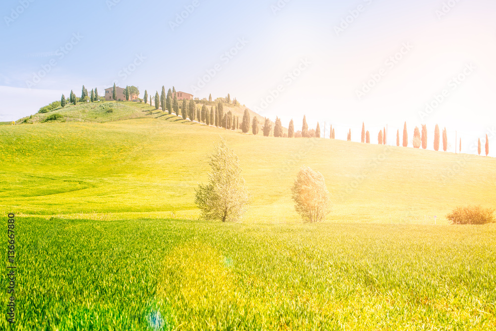 Tuscany, rolling hills with sun light