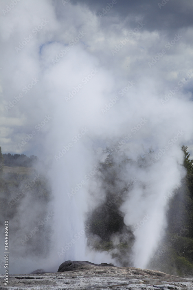 Geyser en éruption / Geyser Pohutu avec Geyser Plumes du Prince de Galles