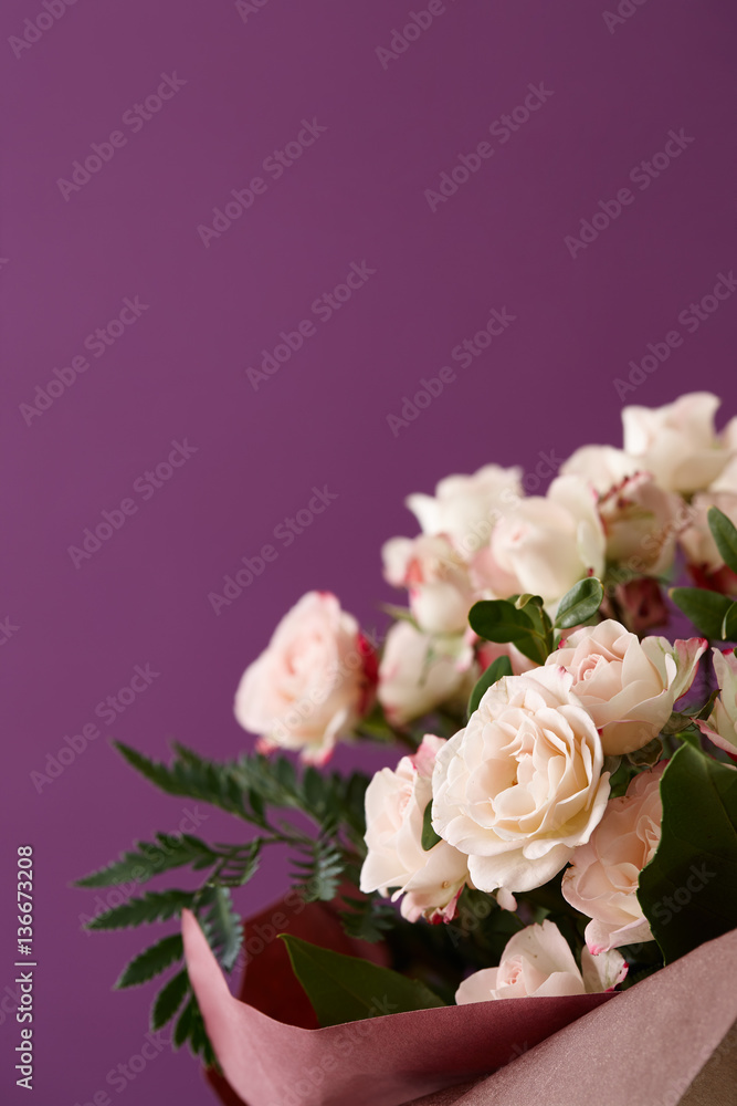 Beautiful roses bouquet on purple background, space for texting