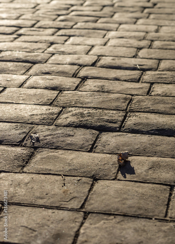 Canvas Print Stamped concrete pavement outdoor, mimics cobblestones pattern, flooring exterio