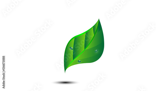 Green leaf icon isolated on a white background with shadow and water drops. Ecology concept and green motion