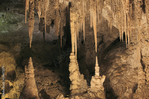 Parc National des grottes de Carlsbad / Nouveau Mexique