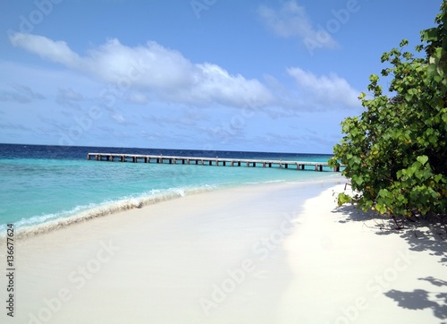 Fototapeta Naklejka Na Ścianę i Meble -  Maldives Tropical Beach