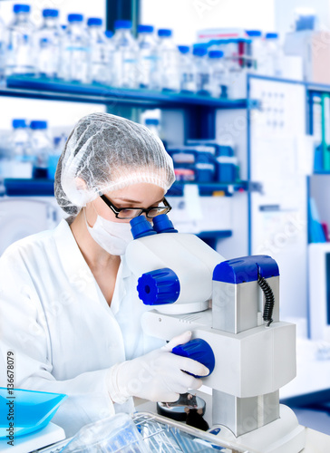 Young microscopist works with mice in modern lab photo