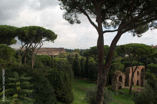 Roman landscape: View from Palatine to Colosseum photo