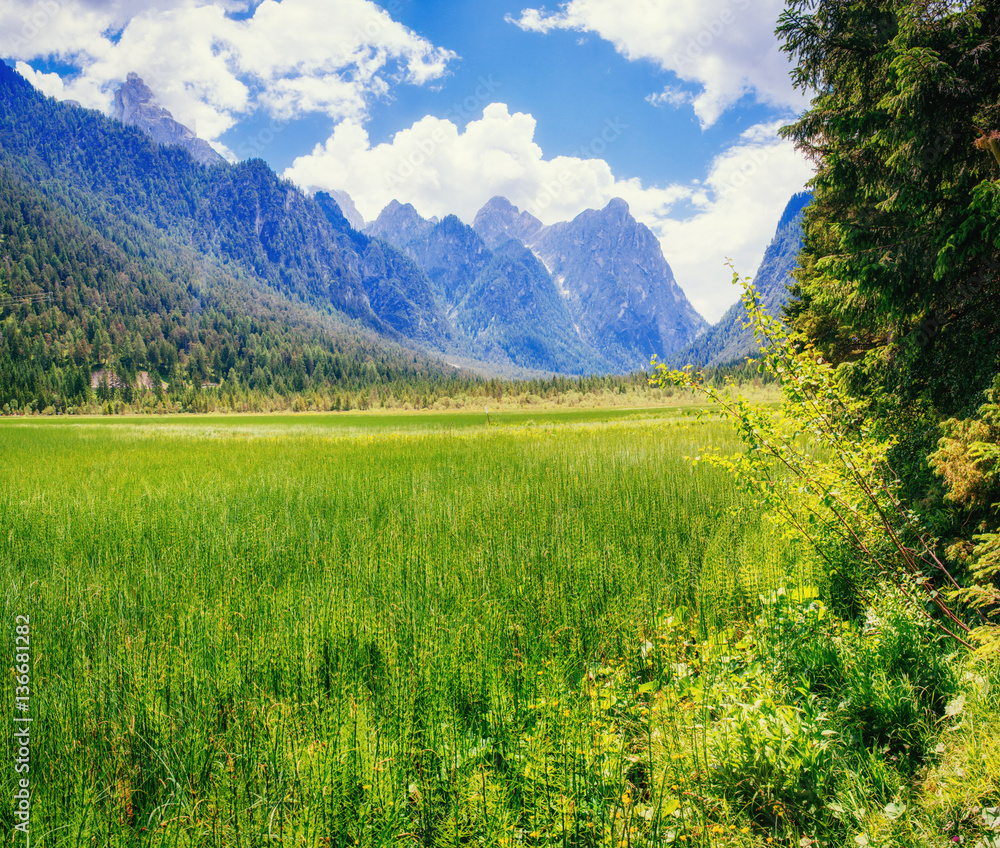 The green grass and rocky mountains. Dolomite Alps, Italy 