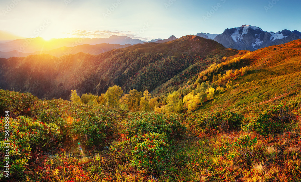 Autumn landscape and snow-capped mountain peaks.