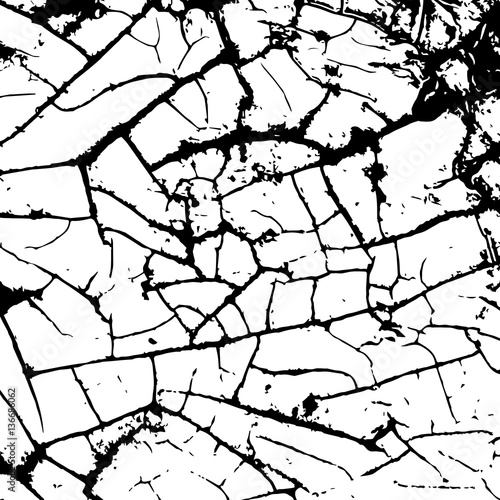 White cracking texture. Grunge background. Pattern with cracks. Vector