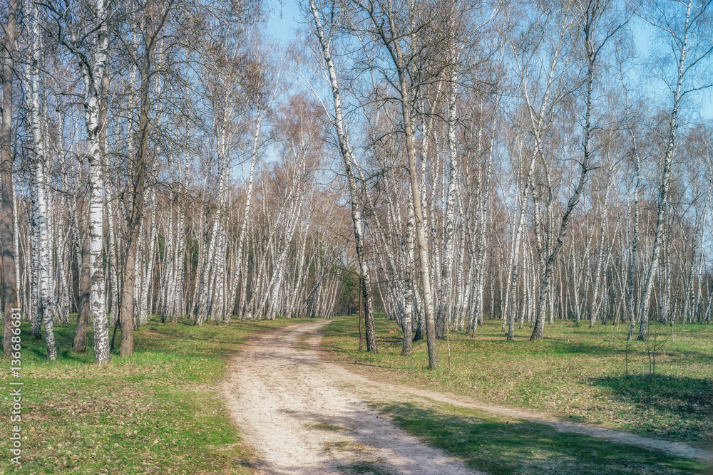 Flowers and plants - nature of Ukraine. Ukraine was blessed with many species of flora and fauna. Flowers and plants - nature of Ukraine. Ukraine was blessed with many species of flora and fauna.