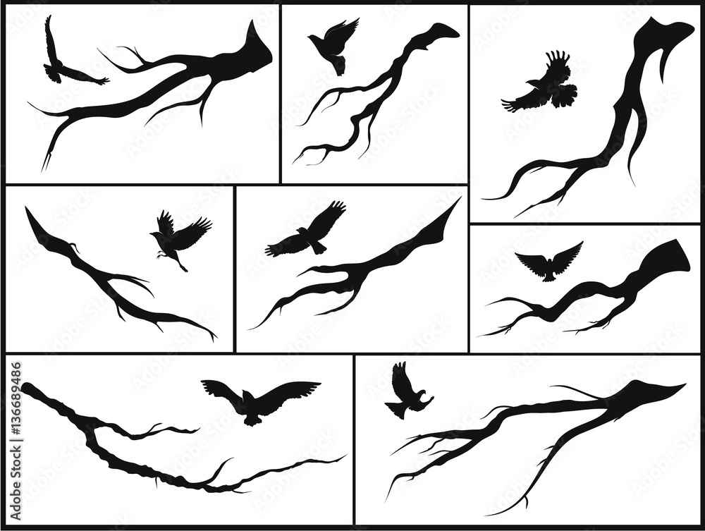 set of branches and birds